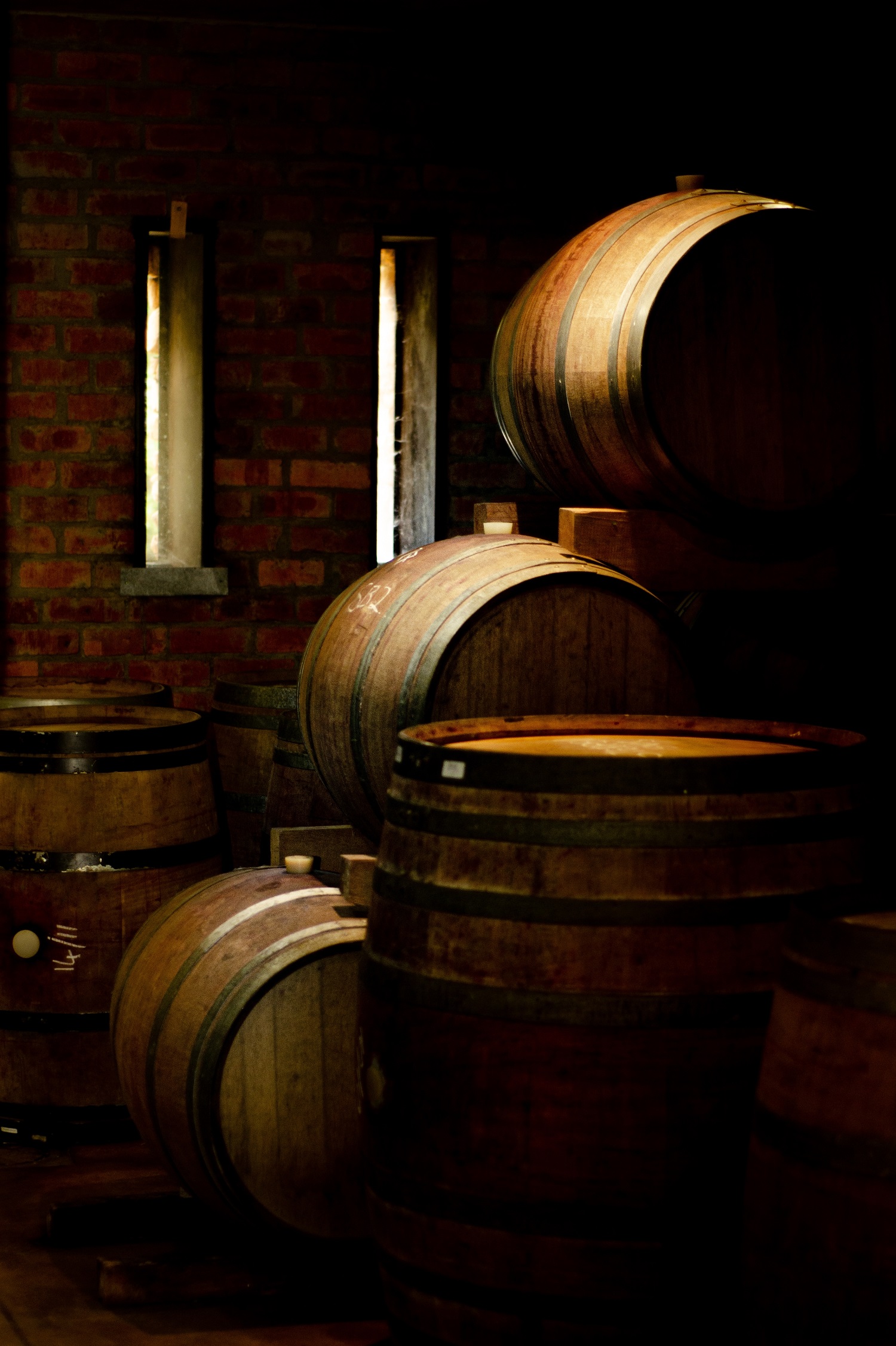 Wine,Barrels,In,The,Wine,Cellar